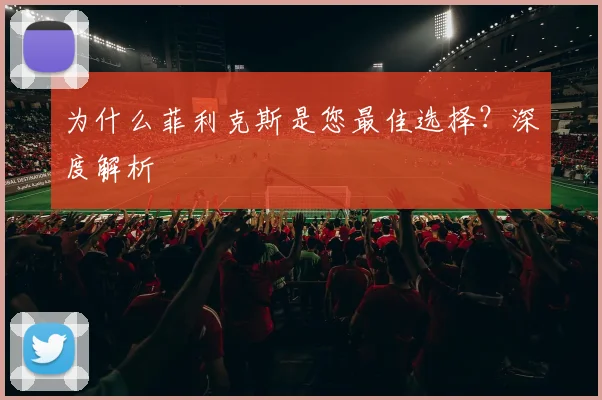 为什么菲利克斯是您最佳选择？深度解析