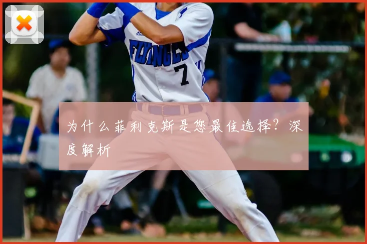 为什么菲利克斯是您最佳选择？深度解析