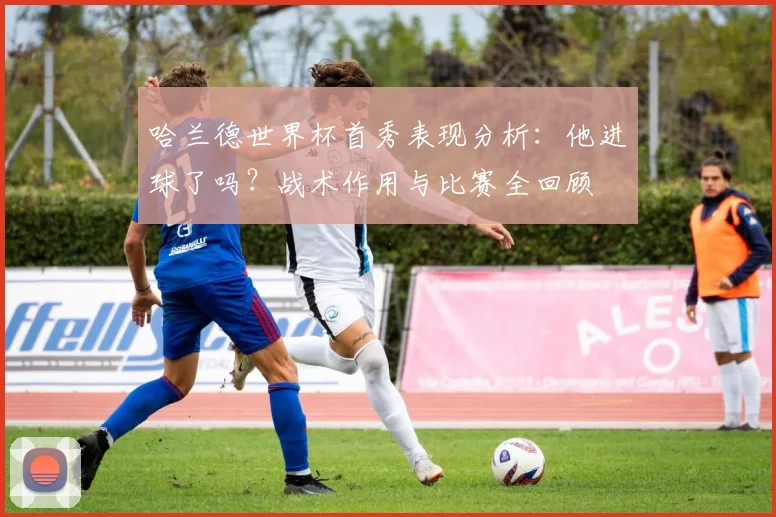 哈兰德世界杯首秀表现分析：他进球了吗？战术作用与比赛全回顾